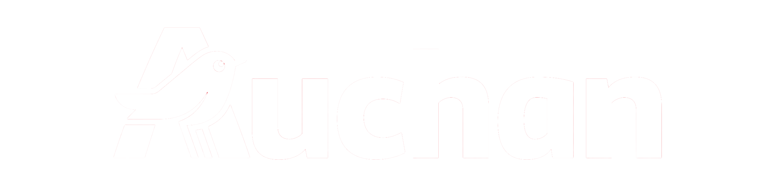 Auchan Retail Sénégal